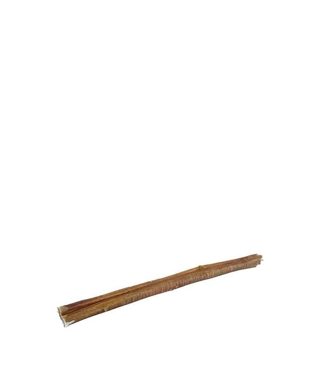 Water Buffalo Bull Stick 11-12in