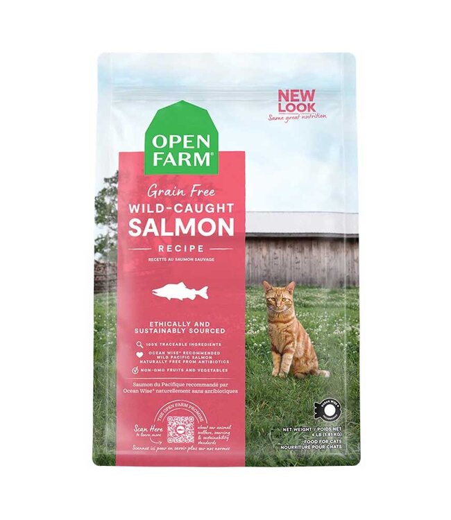 Cat Wild Salmon 2lb