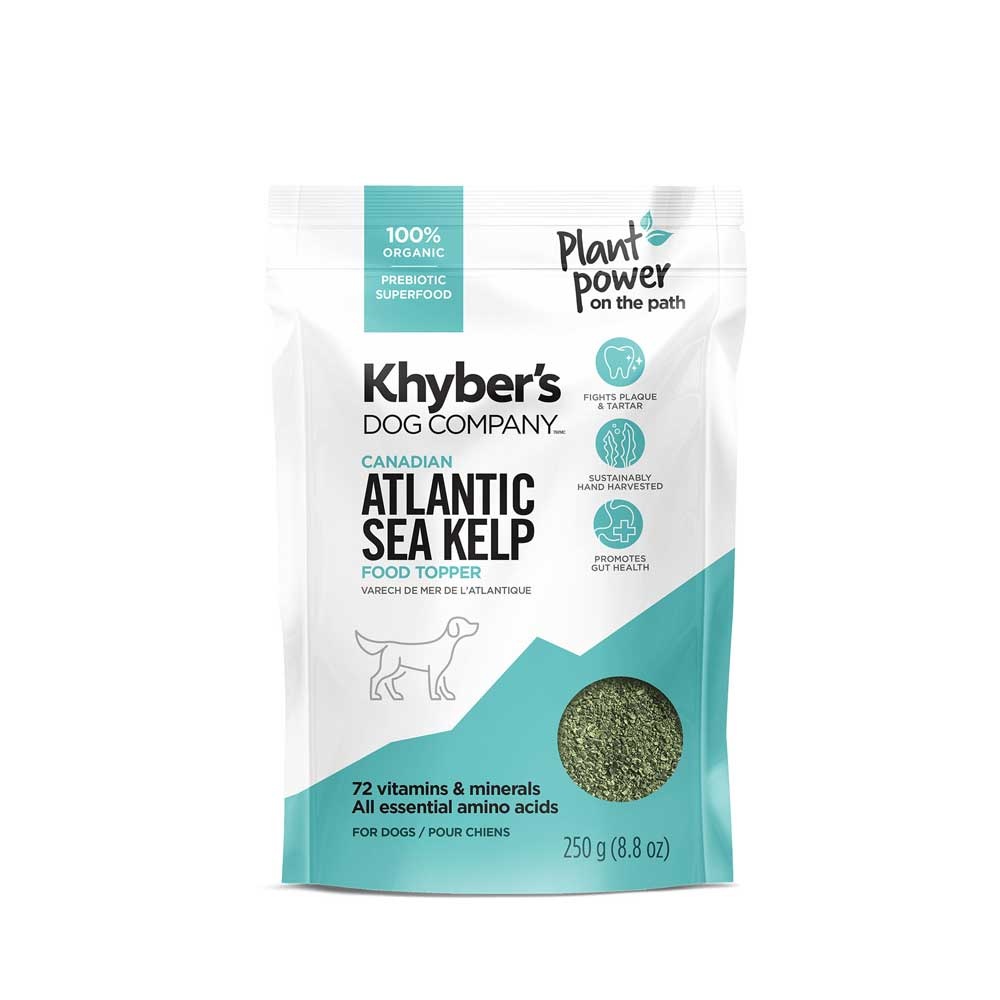 Sea kelp sale for dogs