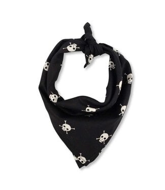 Rover Halloween Bandana Skulls