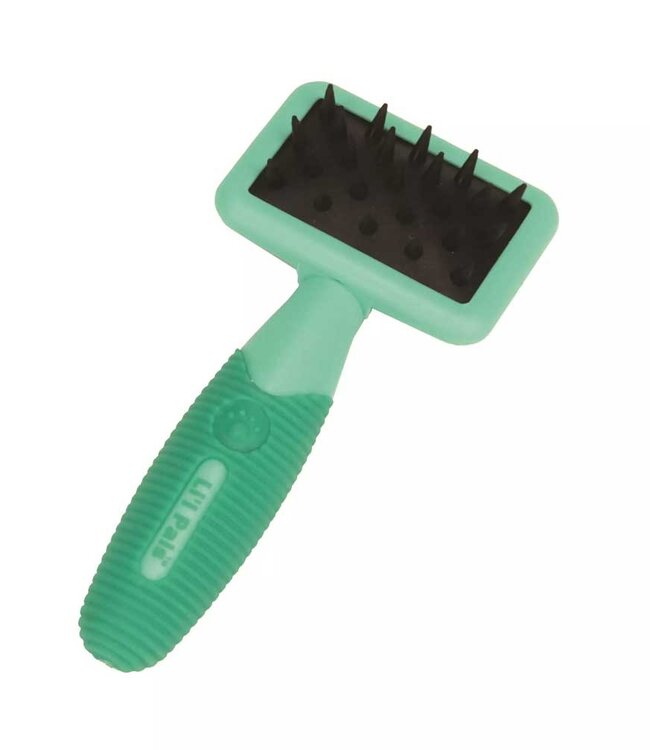 Lil Pals Rubber Brush