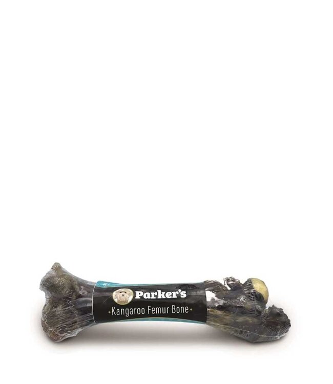 Dog Kangaroo Femur Bone