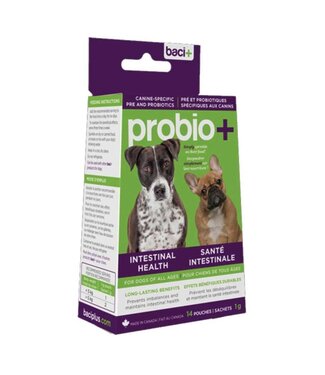 Other DISC Baci+ Probio+ Dog