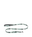 Front Range Leash