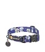 Front Range Collar
