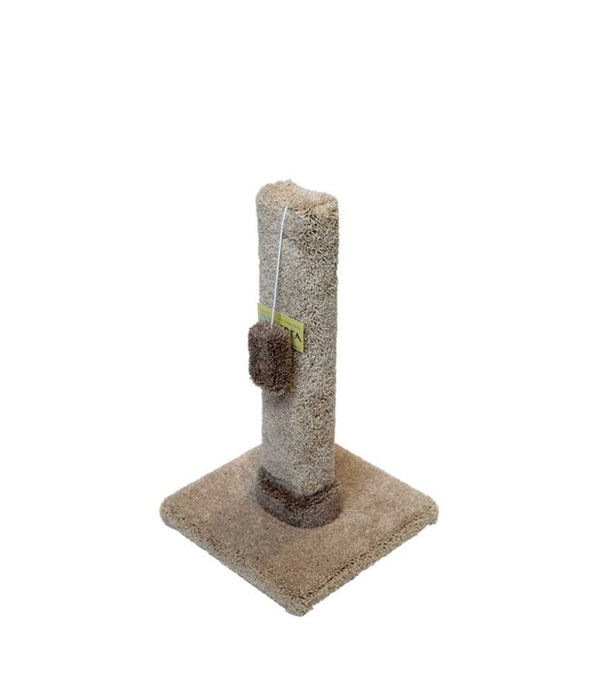 Cat Scratch Post 2ft