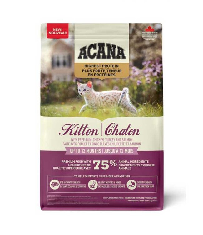 Cat Highest Protein GF Kitten 4lb