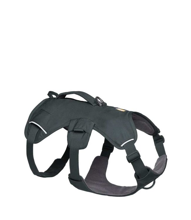 Webmaster Harness Basalt Gray