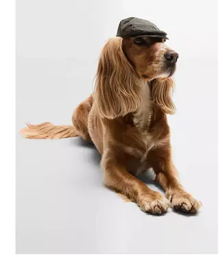 Barbour Barbour Dog Wax Flat Cap Olive