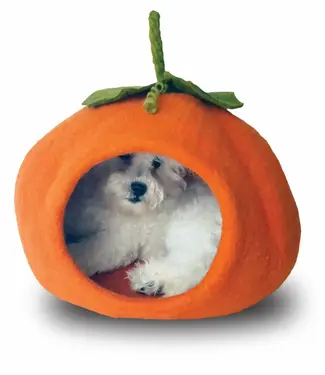 Dharma Dharma Cat Cave Halloween Pumpkin