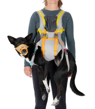 Ruffwear Ruffwear BackTrak Dog Evacuation Kit Cloudburst Gray