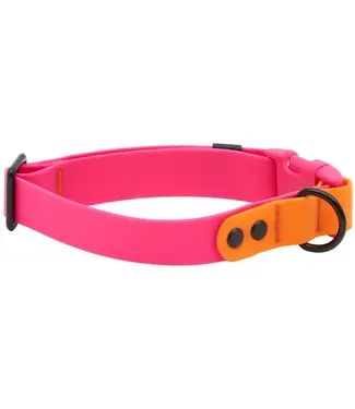 RC Pets RC Collar Waterproof Azalea/Orange