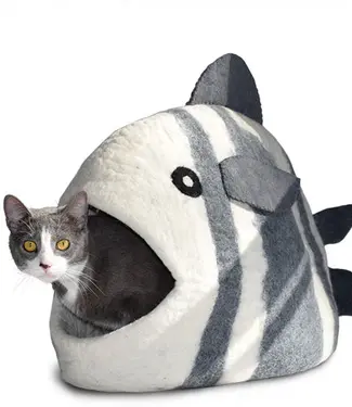 Dharma Dharma Cat Cave Fish