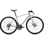 GIANT Giant FastRoad SL 2 2022 Good Gray