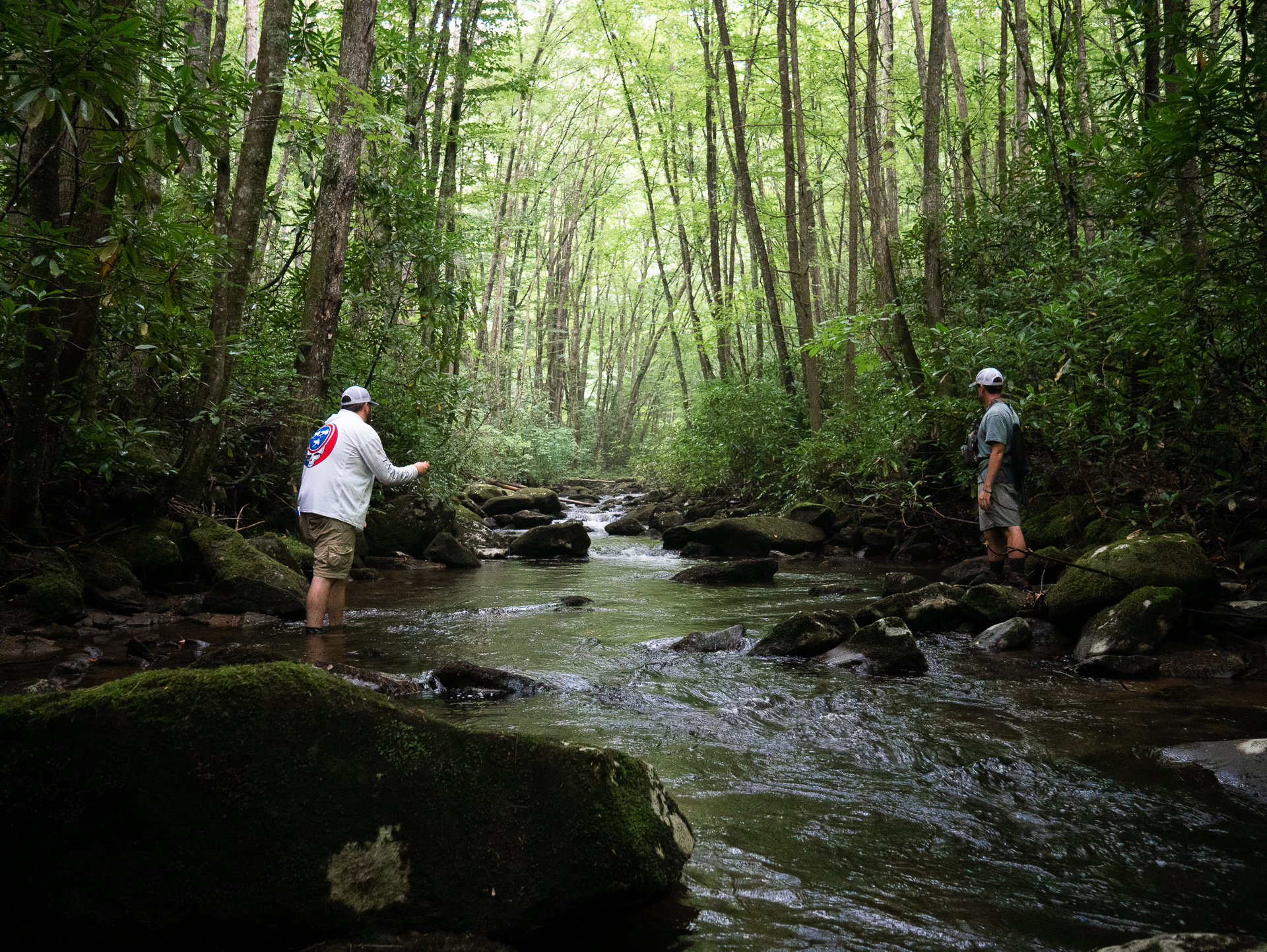Five Facts about Fly Fishing Delayed Harvest In Tennessee