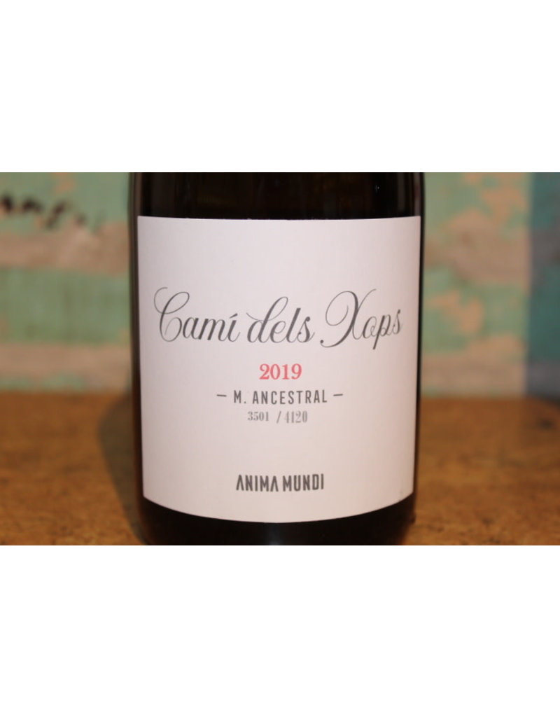 Wines ANIMA MUNDI CAMI DELS XOPS METODE ANCESTRAL