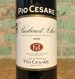 Wines PIO CESARE BARBERA D'ALBA