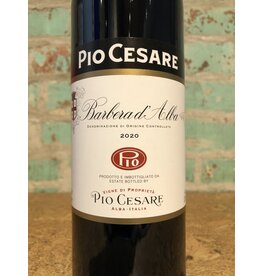 Wines PIO CESARE BARBERA D'ALBA