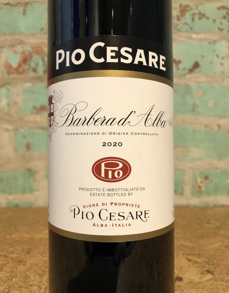Wines PIO CESARE BARBERA D'ALBA
