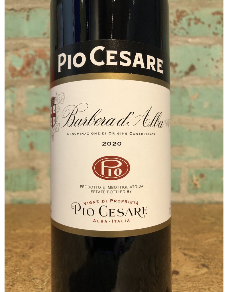 Wines PIO CESARE BARBERA D'ALBA