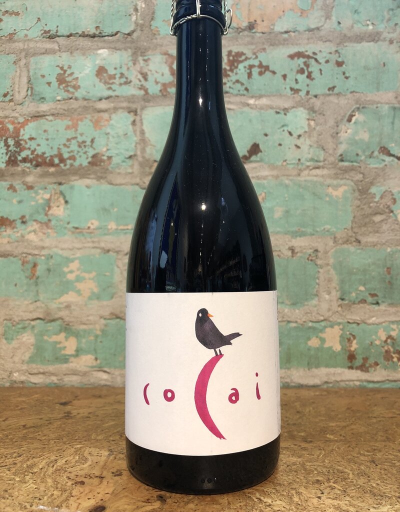 Wines FONDO BOZZOLE COCAI
