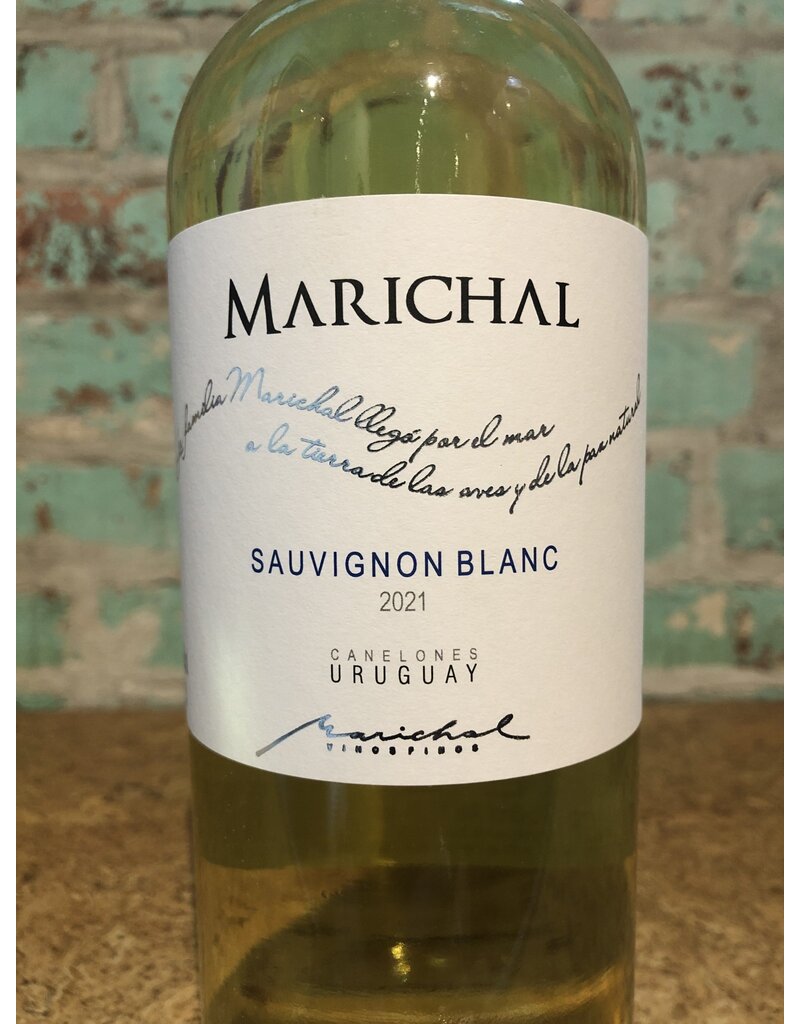 Wines MARICHAL SAUVIGNON BLANC URUGUAY