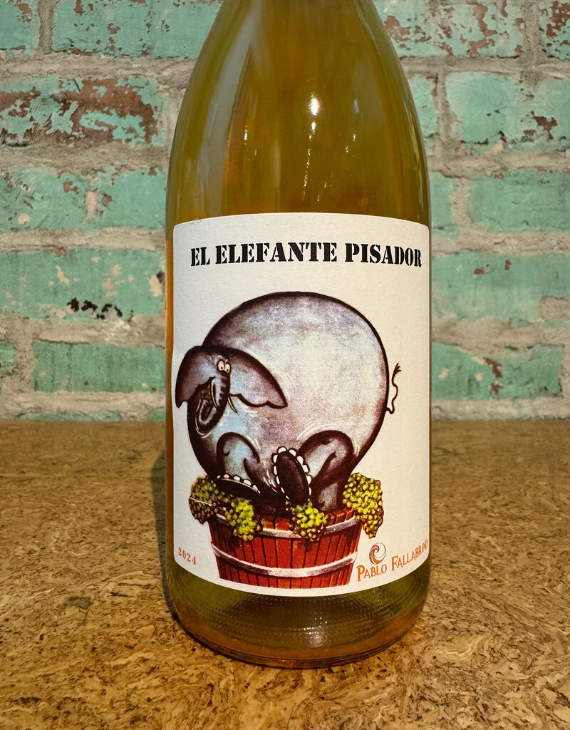 Wines PABLO FALLABRINO 'PISADOR' SKIN CONTACT WHITE