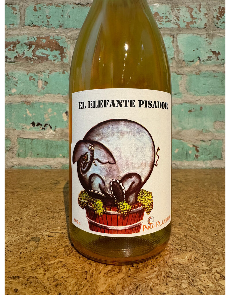 Wines PABLO FALLABRINO 'PISADOR' SKIN CONTACT WHITE
