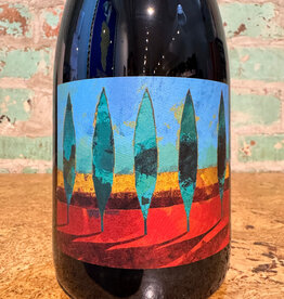 Wines TERREVIVE 'NO AUTOCLAVE' ROSATO FRIZZANTE
