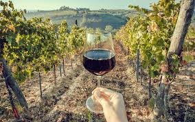 What's the Deal with "Natural Wine?"