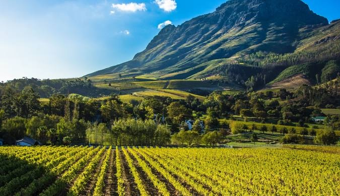 South African Wine: The World’s Best Value in Fine Wine Today