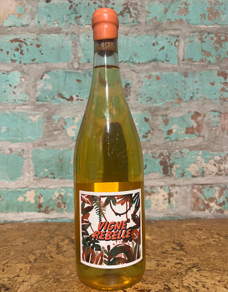 PIERRE & ANTONIN 'ORANGE VIGNE REBELLE' LANGUEDOC-ROUSSILLON FRANCE