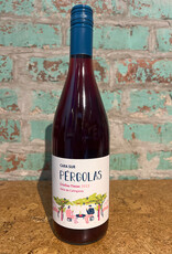 CARA SUR 'PERGOLAS' CRIOLLA TINTAS CALINGASTA VALLEY ARGENTINA