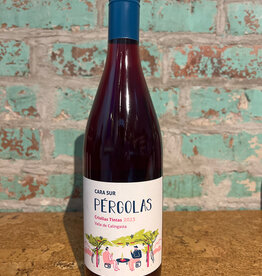 CARA SUR 'PERGOLAS' CRIOLLA TINTAS CALINGASTA VALLEY ARGENTINA