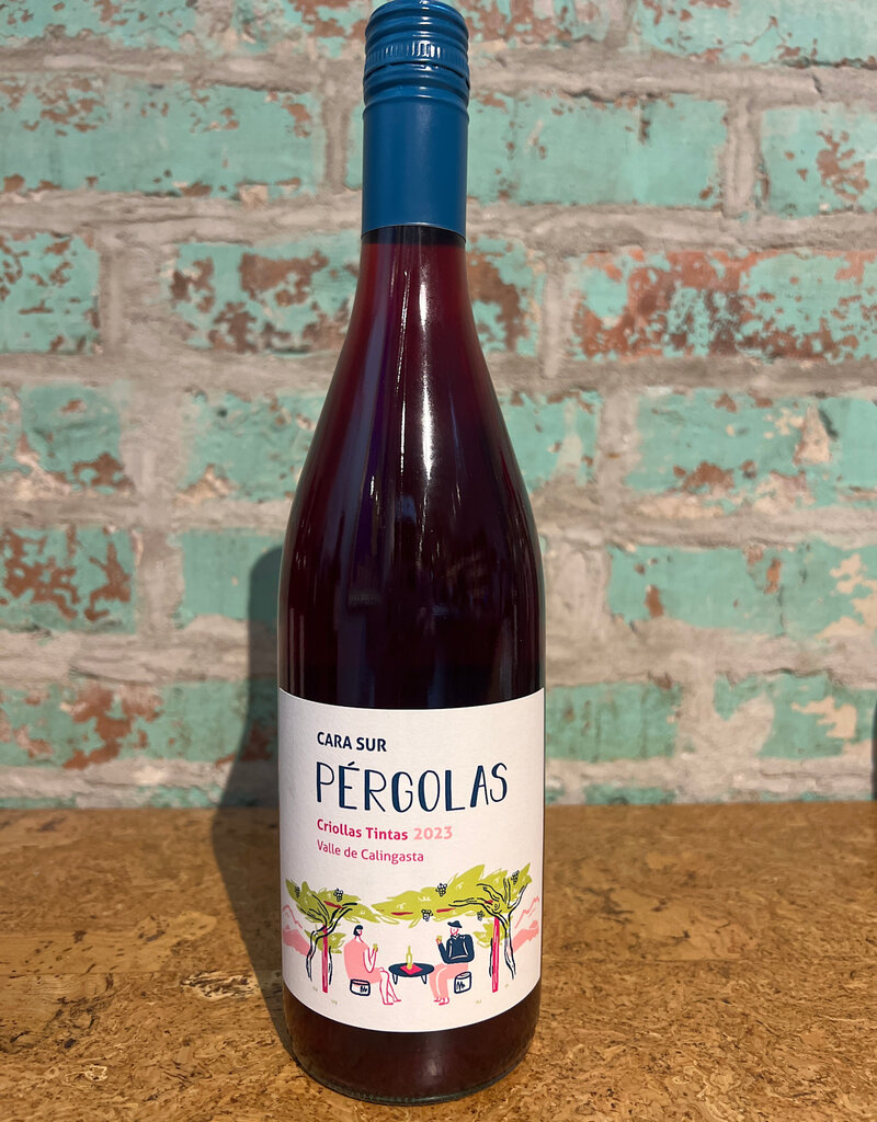 CARA SUR 'PERGOLAS' CRIOLLA TINTAS CALINGASTA VALLEY ARGENTINA