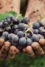 NEW TO NATURAL WINE SEMINAR APRIL 8TH: 6-8PM