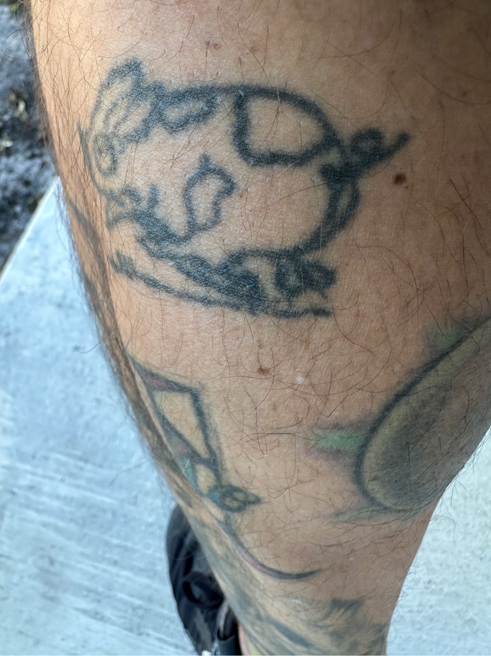 Stephen's pig tattoo