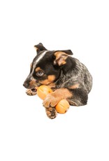 Westpaw Qwizl Treat Toy Small