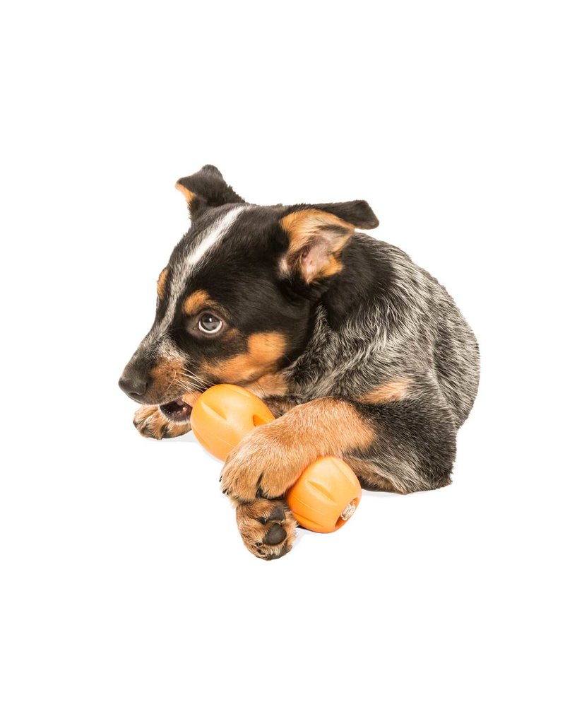 Westpaw Qwizl Treat Toy Small