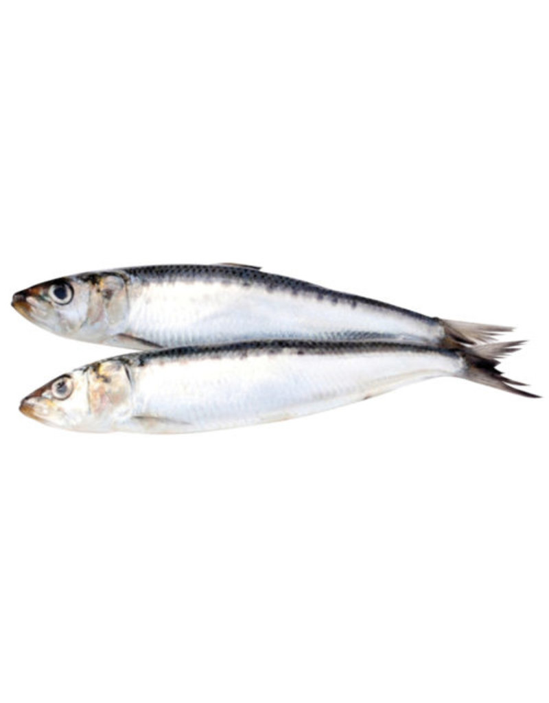 Are Sardines Good For Dogs And Cats