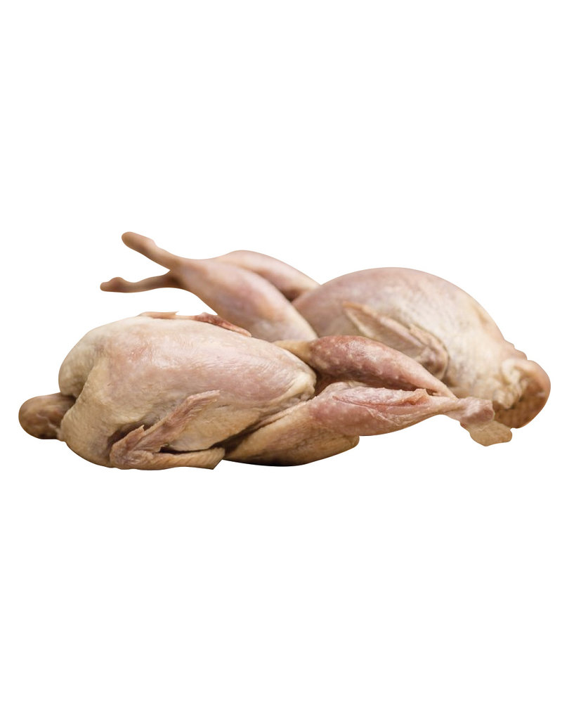 Big Country Raw Whole Quail 1lb