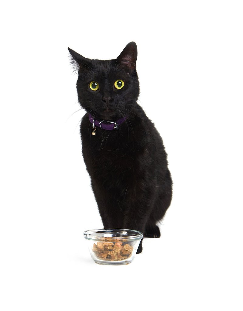 Smack Pet Food Cat Purrfect Pork Dehydrated Raw 250g