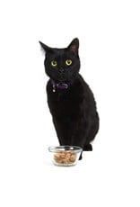 Smack Pet Food Cat Pacific Fish Feast Dehydrated Raw 210g