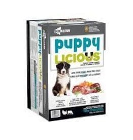 Iron Will Puppylicious Turk & Beef 12lb Box (12 x 1lb)