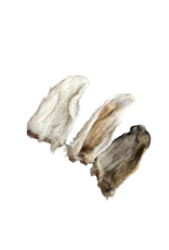 Dehydrated Rabbit Ear Single 1pc