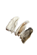 Rabbit Ear Single