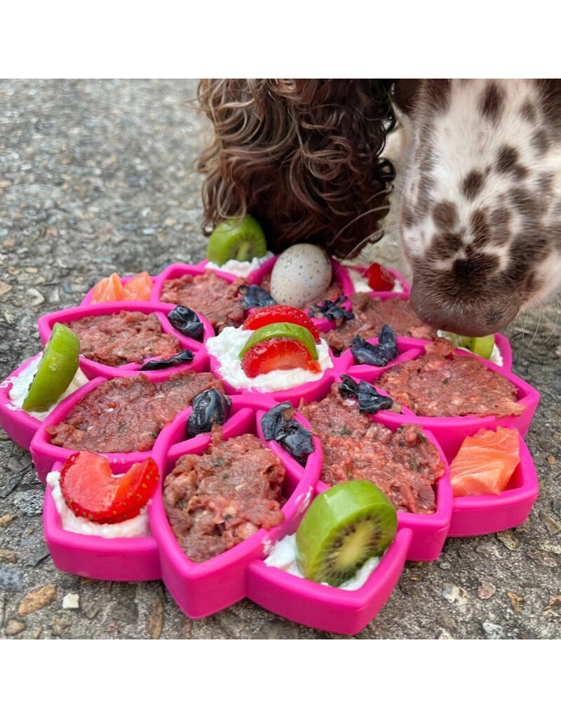 SodaPup eTray Feeder - Mandala - Pink