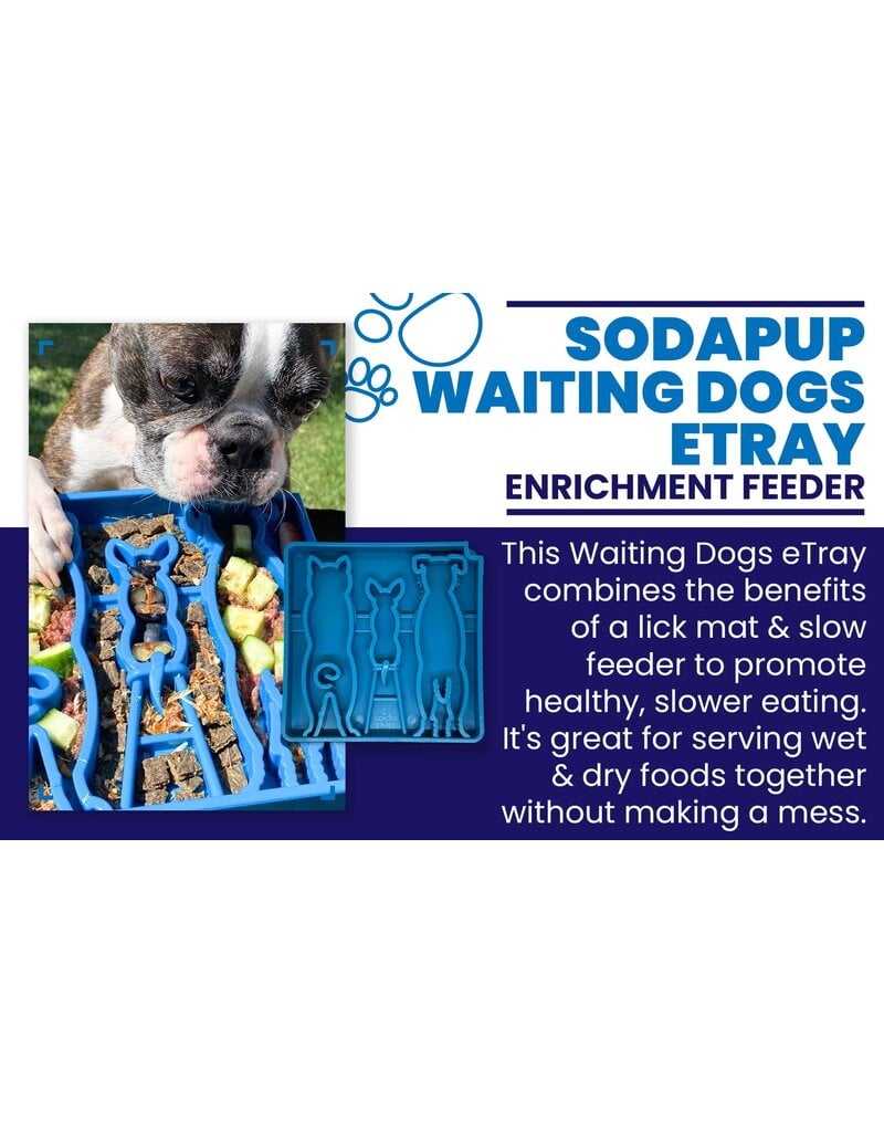 SodaPup Waiting Dogs eTray Enrichment Tray for Dogs