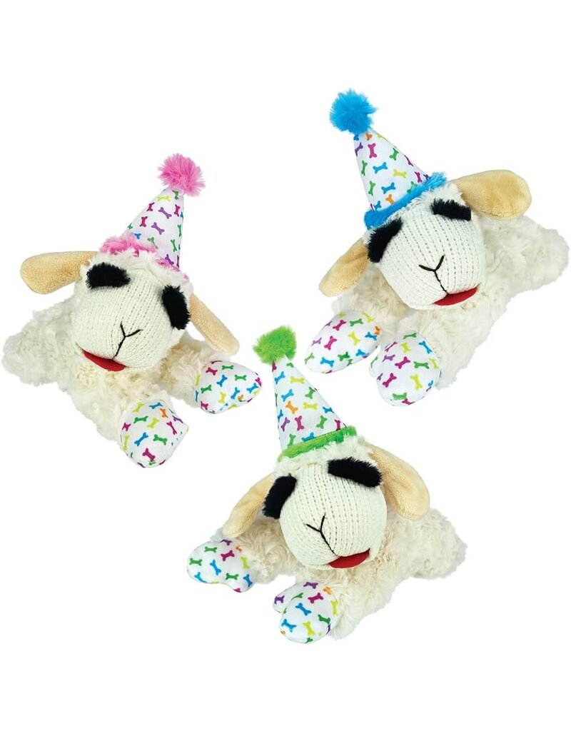 Multipet Lamb Chop 10.5" Birthday Hat Dog Toy