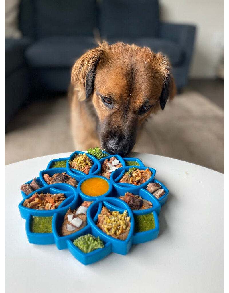 SodaPup eTray Feeder - Mandala - Blue